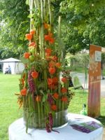 Gartenschau präsentiert sich im Blühenden Barock