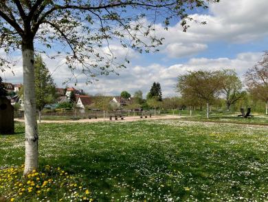 Blühende Wiesen in den Enzgärten...