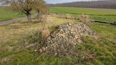 Eidechsenhaufen aus Stein in Pferchäcker. 