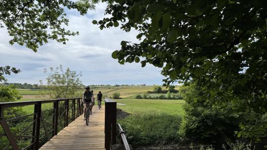 Der frisch renovierte Enzsteg ist für Fahrräder geöffnet. Bildquelle: Kraichgau-Stromberg Tourismus e.V.